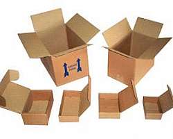 Caixa para salgados delivery Caixa para salgados delivery