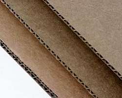 Chapa de papelão Chapa de papelão